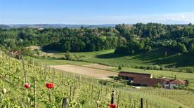 Vini Cascina Rey - >Asti