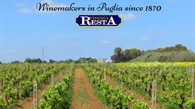 VINICOLA RESTA SAS - >San Pietro Vernotico
