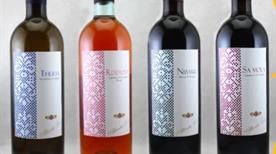 Vitivinicola Alberto Loi Srl - >Cagliari