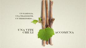 Zanatta Roberto | Azienda Vitivinicola - >Chiarano