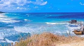 Vasto