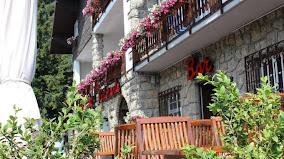 HOTEL DES ALPES