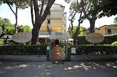 ALBERGO AIRONE