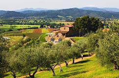 Wine Resort -Conti Di San Bonifacio