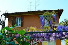 IL GIARDINO NEL PARCO R&B