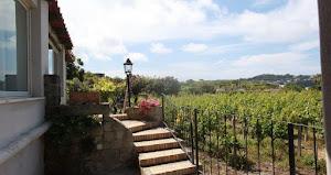 Il Vitigno Ischia