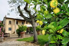 PODERE LA FORNACE