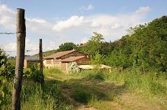 Il Cielo