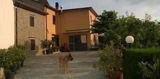 Poggetto Pellegrini