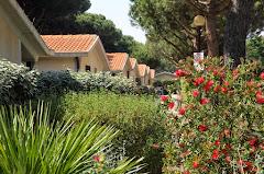 CAMPING MARINA CHIARA