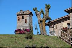 POGGIO AI LEGNI