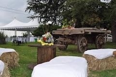 Le Bighe