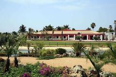 Disio_ Resort