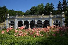 Hotel Salus