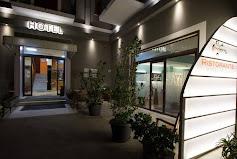 Il Gabbiano