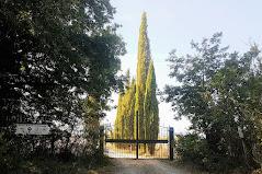 FATTORIA LE PLANAIE