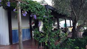 GIARDINO DI SICILIA