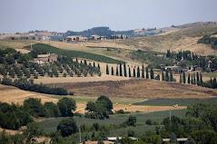 PODERE OLIVELLO