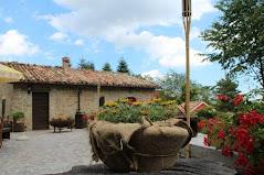 Casa Per Ferie Altino