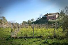 AZIENDA AGRITURISTICA KIKAJON