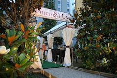 MI HOTEL