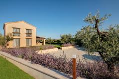 Agriturismo Collelago