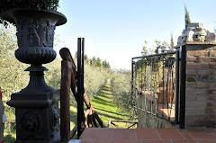 LA CORTE DEL CAVALIERINO