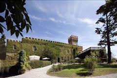 CASTELLO DI MAGONA