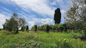 PODERE SPAZZAVENTO