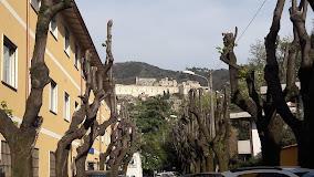 Annunziata
