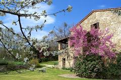 Il Poggio