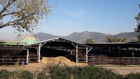 AGRICOLA ZOOTECNICA ROANA SRL 
