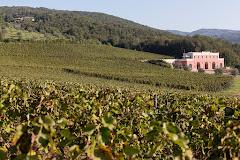 Il Sassone Tenuta Di Maremma