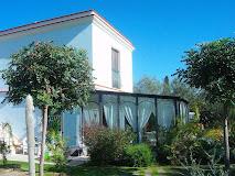 IL GIARDINO DEL TE