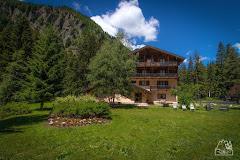 HOTEL STELLA ALPINA