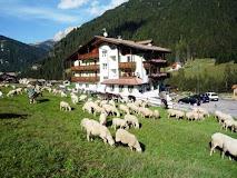 Hotel Sassleng