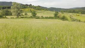 Agriturismo La Casaccia