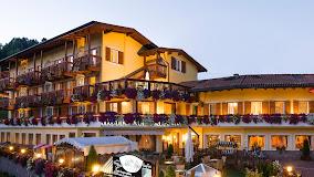 Hotel Alle Alpi