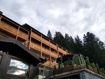 HOTEL SELVA