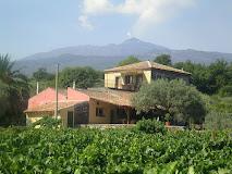 Tenuta madonnina
