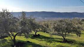 Casa Rosa Agriturismo Di Trevisani Marco