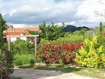 Oasi Giardino D'Autore