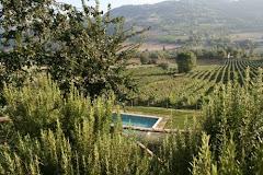 AGRITURISMO FIAMMETTA