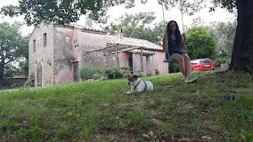Melograno