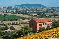 L'ERBAIUOLA B&B DI GIBELLINI