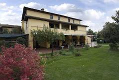 PODERE VIOLINO