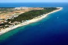 PUNTA ALICE