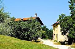 Il Picchio Verde