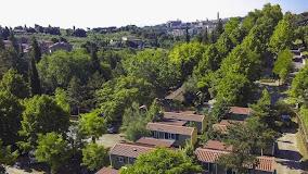 Colleverde