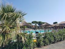 Fattoria Palazzeta